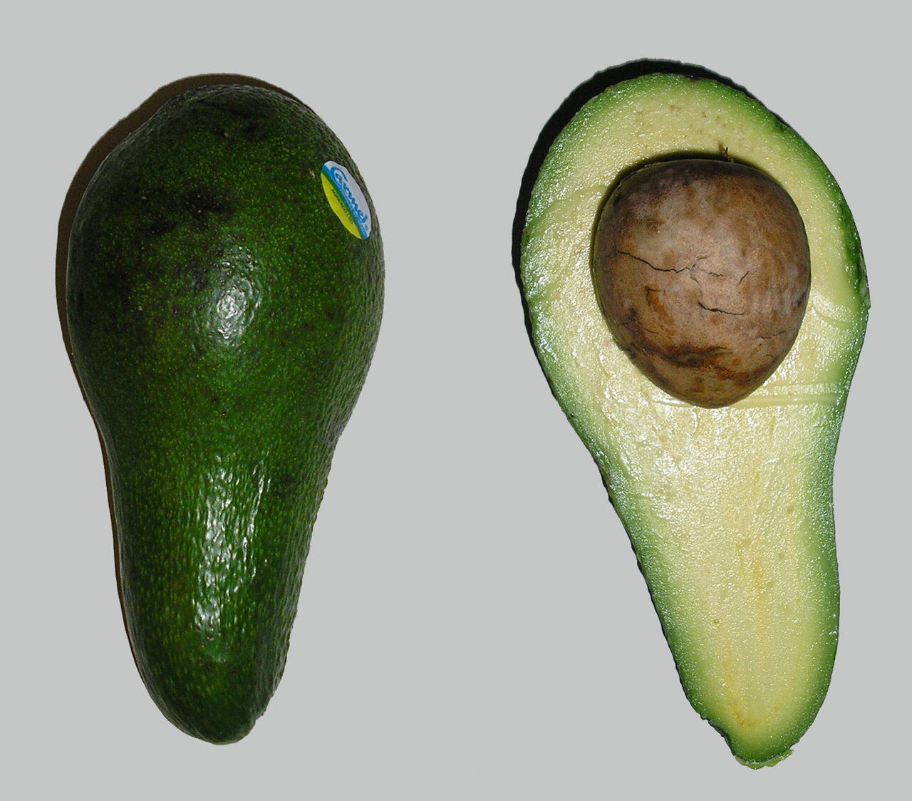 Avocado - Avoka - Avocat
