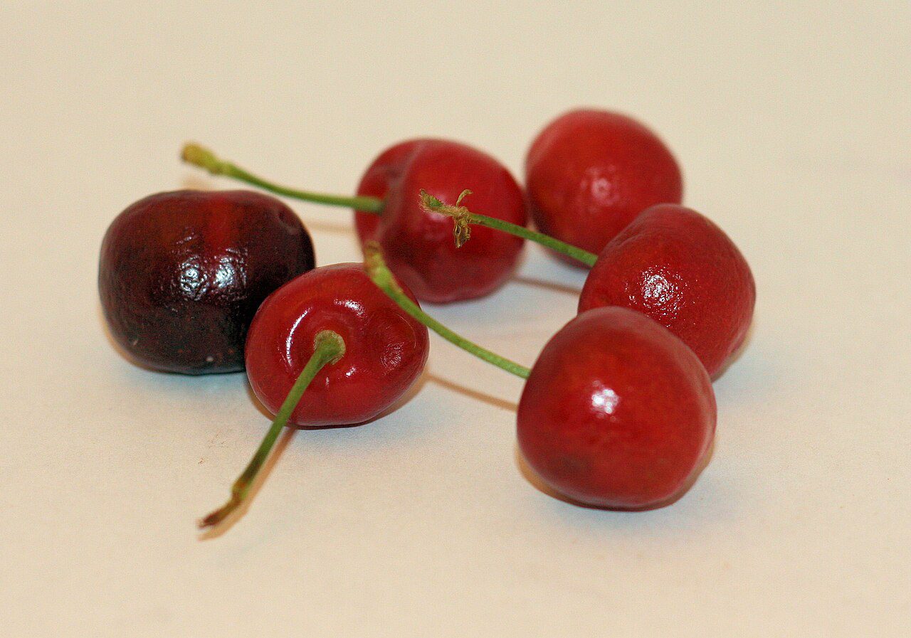 Cherry - Cerise