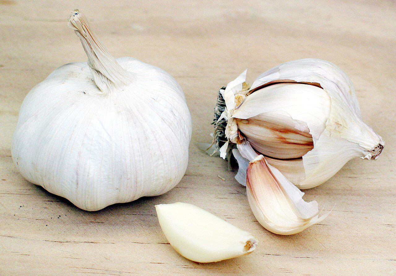 Garlic - Ayo - Ail