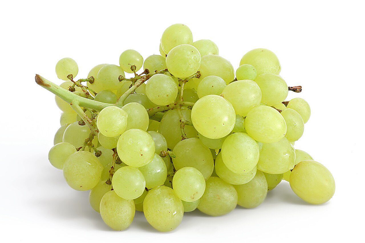 Grapes - Wein - Raisins