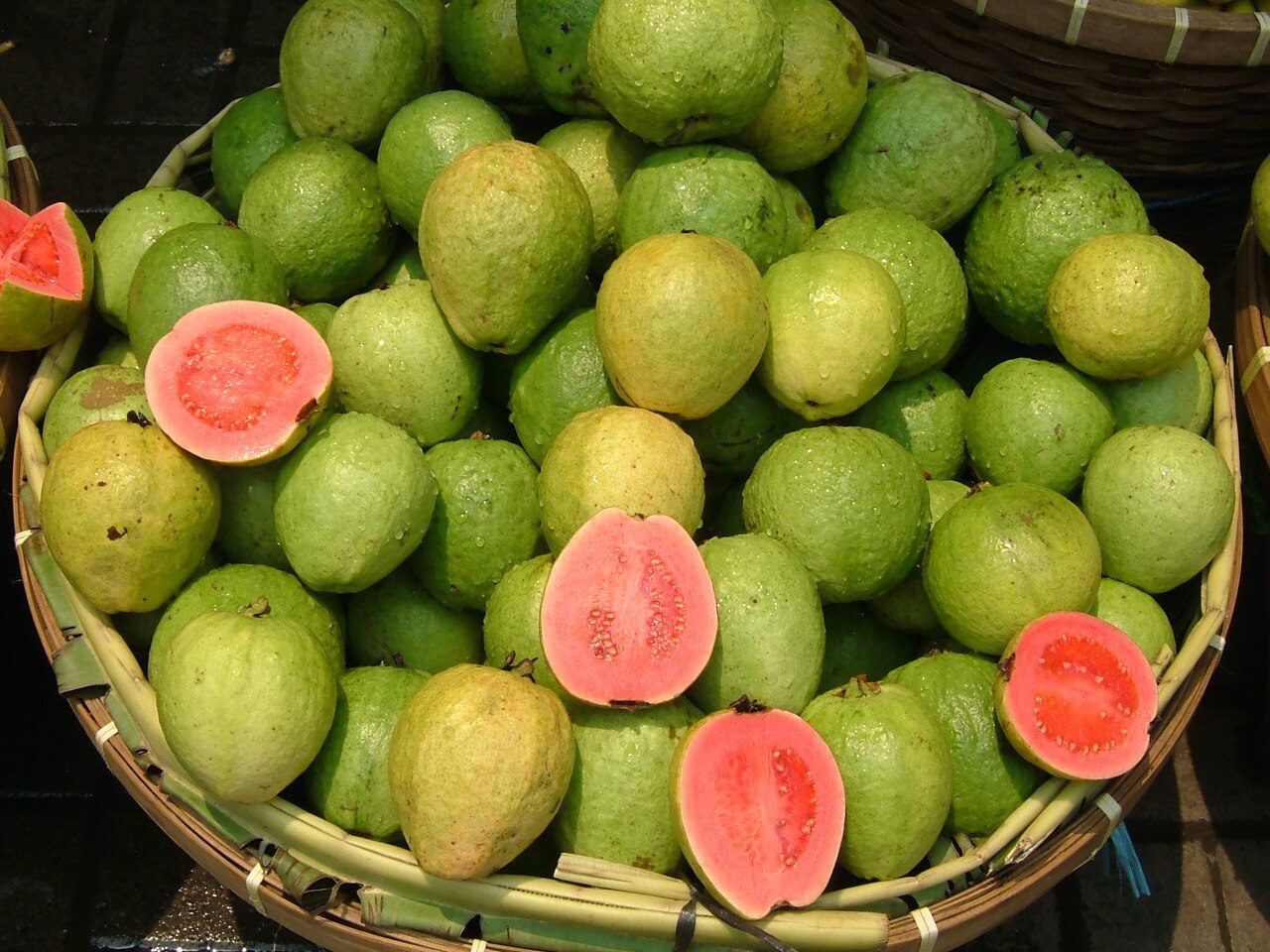 Guava - Gowa - Goyave