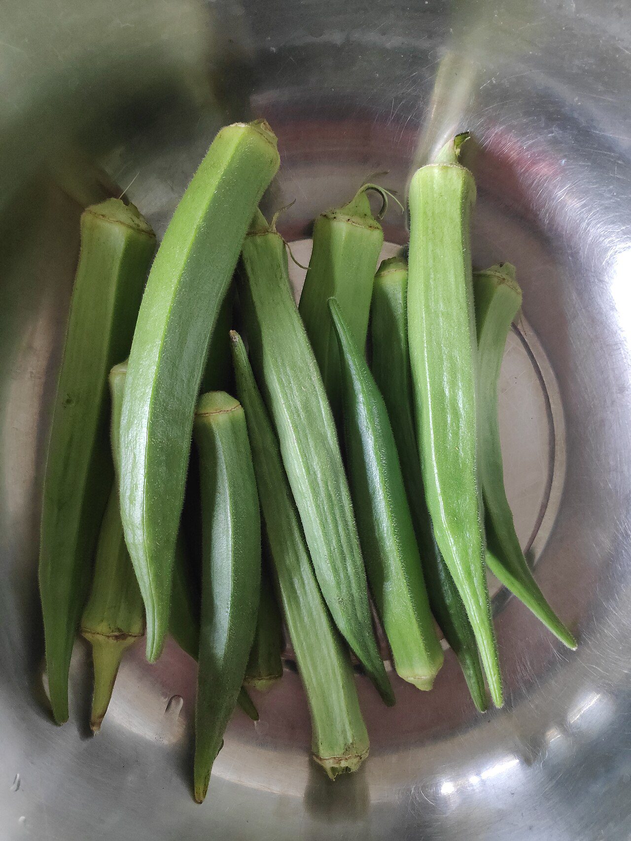 Okra - Fetri - Gombo