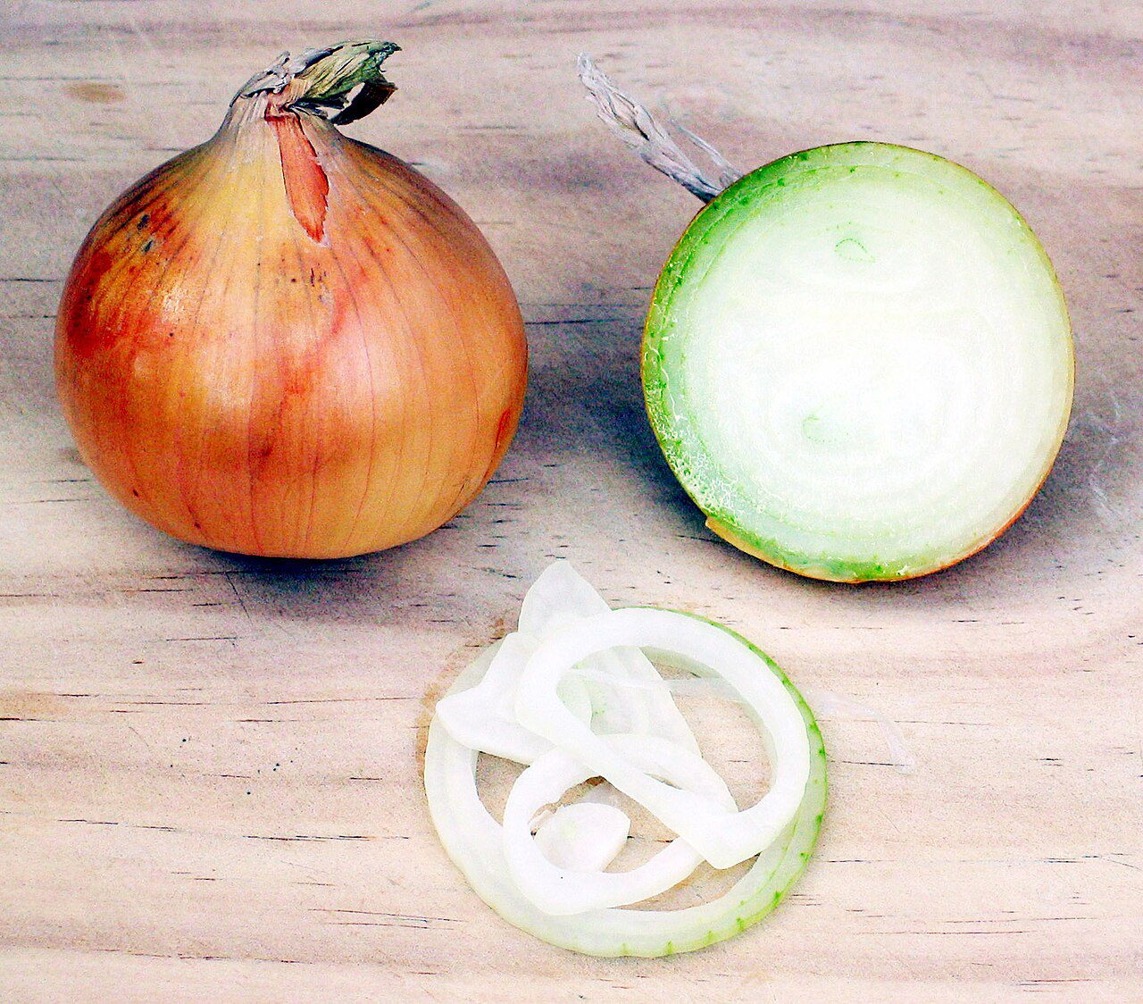 Onion - Sabala - Oignon