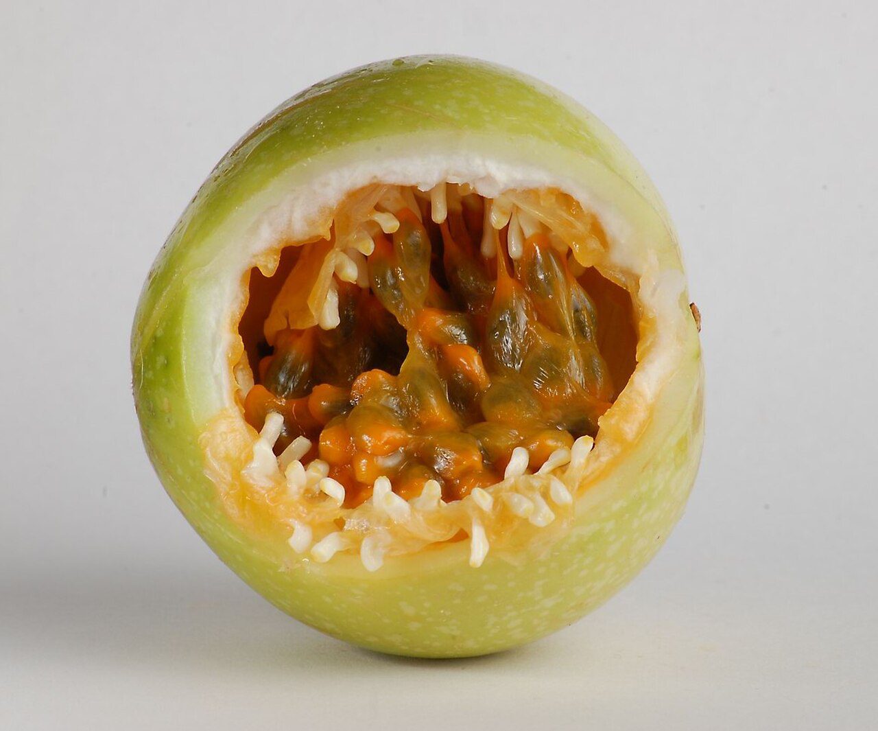 Passion Fruit - Fruit de la passion