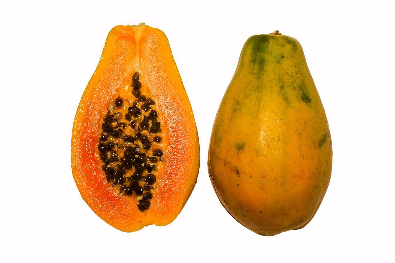 Pawpaw Papaya - Adiba - Papaye