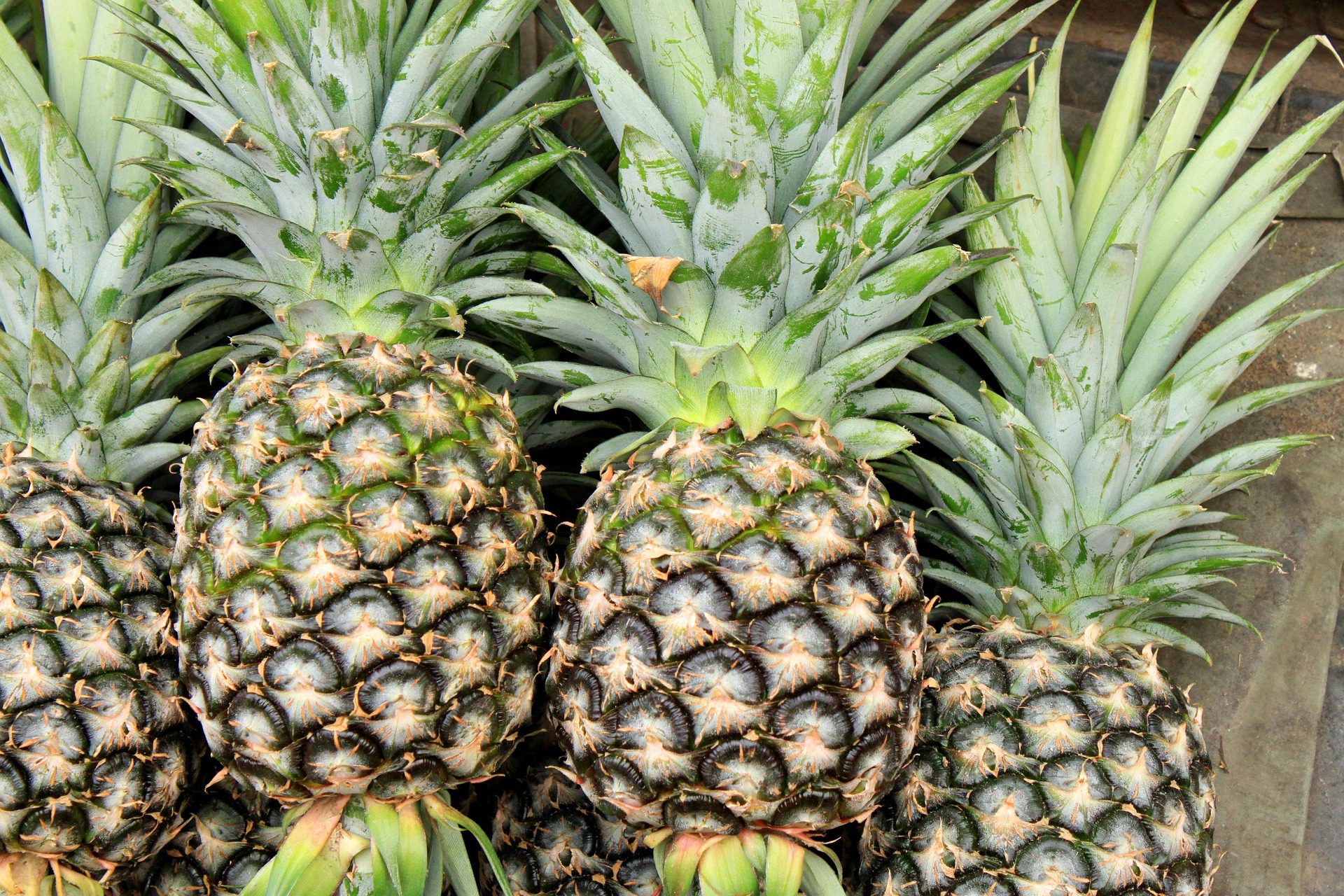 Pineapple - Atɔtɔ - Ananas