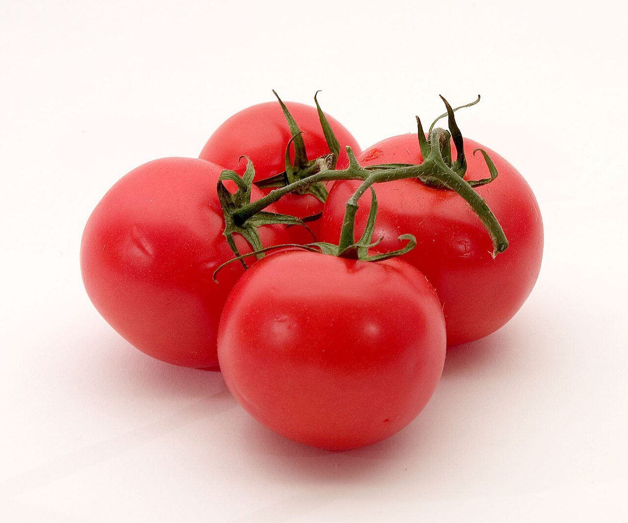 Tomato - Tometo - Tomate